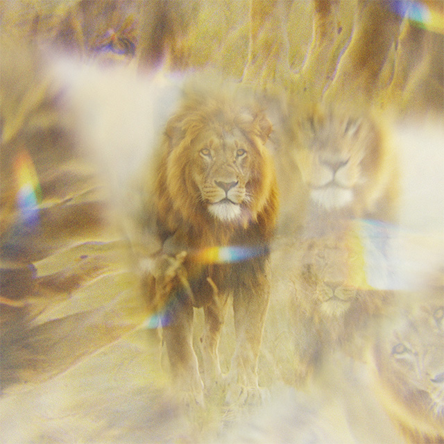 Jesus Song | Thrive Worship